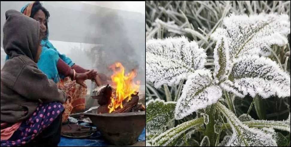 उत्तराखंड: पहाड़ों पर पाला, मैदानों में कोल्ड वेव अलर्ट का अलर्ट.. जानिये मौसम समाचार