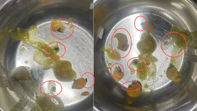 दून मेडिकल कॉलेज मेस में परोसी गई ‘कीड़ों वाली सब्जी’, खाना खाते ही छात्रों में मचा हड़कंप