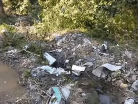 जंगलों के किनारे कूड़ा कचरा वन्यजीवों पड़ रहा भारी:कूड़ा डालने वाली की अब खैर नही, CCTV से होगी निगरानी